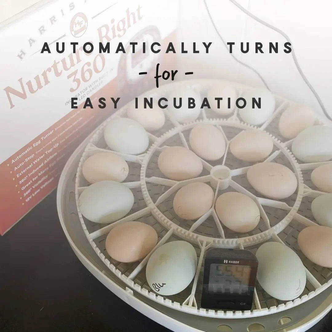 Harris Farms Nurture Right 360 Incubator - MadeInUSA